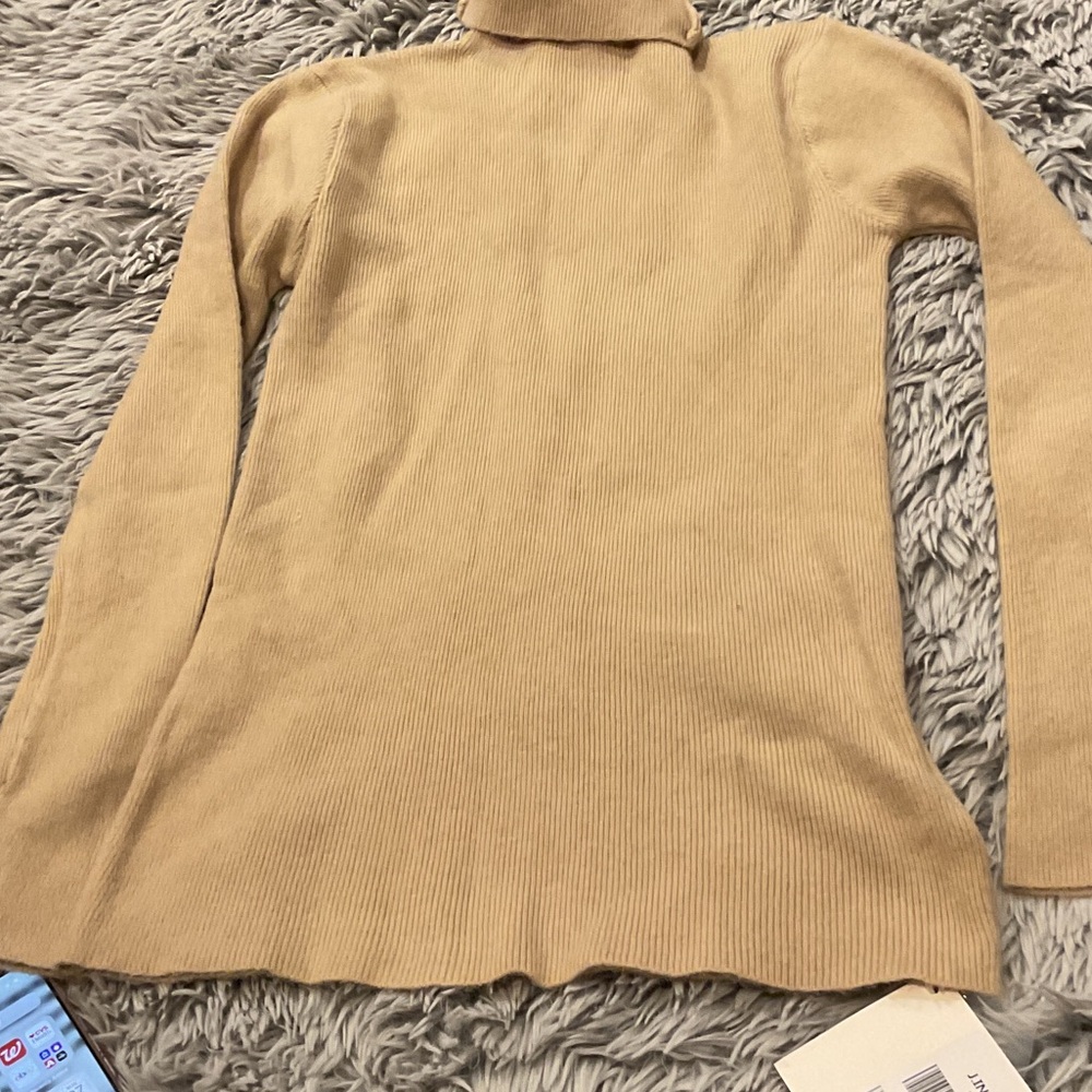 Elegant Beige Turtleneck Sweater